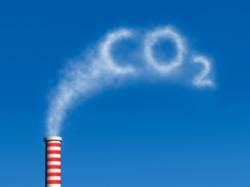 LA GESTIÓ DE LES EMISSIONS DE CO2 EN EL SECTOR AGROALIMENTARI