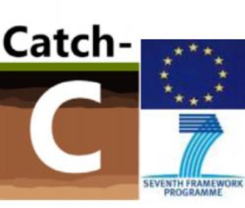Proyecto Catch-C