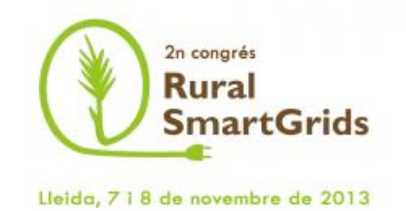 Rural Smart Grids demana lideratge social i polític per impulsar la generació local denergia renovable al territori