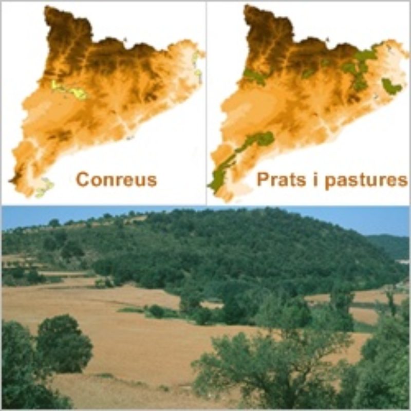 A Catalunya, els espais agraris tenen també una representació important a la xarxa Natura 2000