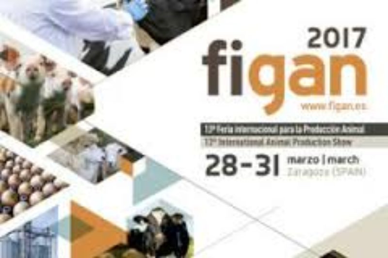 FIGAN 2017 (Zaragoza, 28-31 marzo 2017)