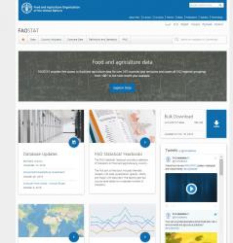 Nova web de la FAO per oferir més i millor informació sobre indicadors agrícoles
