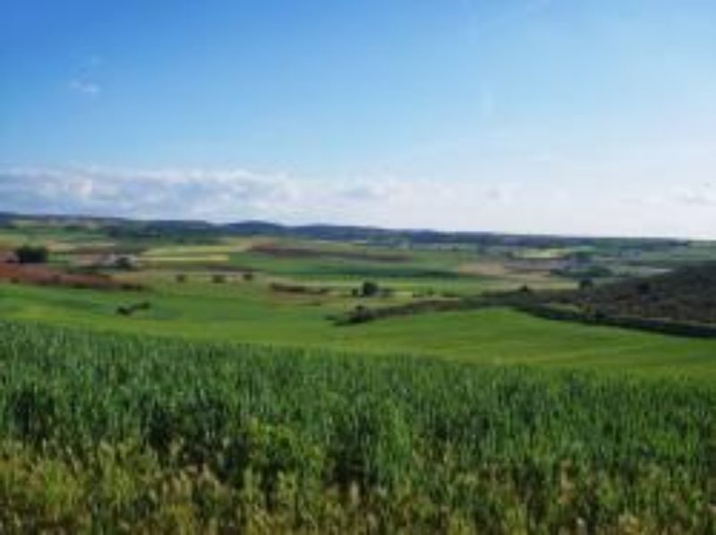 El Gobierno modifica algunos aspectos de la normativa para la aplicación en España de la Política Agrícola Común para la campaña 2017