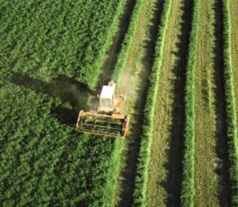 El Ministerio de Agricultura, Alimentación y Medio Ambiente publica en su página web los Estudios de Costes y Rentas de las Explotaciones Agrarias (ECREA)