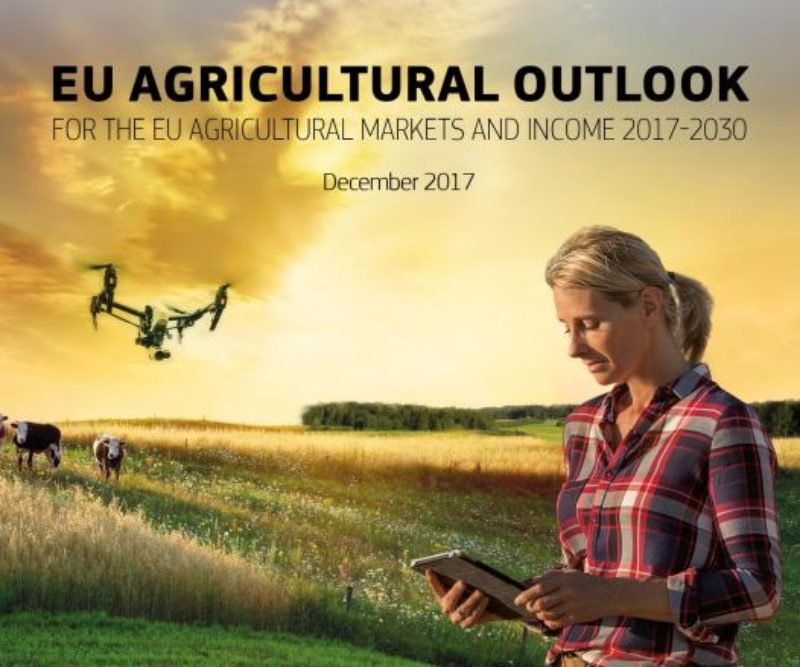 Projeccions sobre els mercats agraris i rendes de la UE: 2017-2030