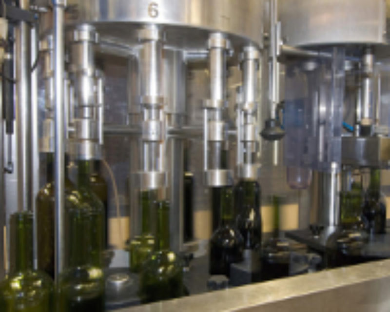 Ajuts per a la millora de la producció o comercialització de productes vitivinícoles a Catalunya