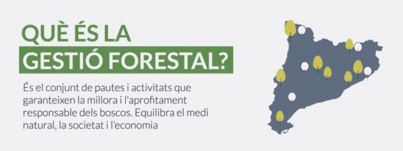 Vídeo: La Gestió Forestal.  Campanya: “RESPECTA L’EQUILIBRI DEL MÓN RURAL”