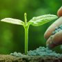 Publicat nou Reglament Europeu sobre la disposició al mercat dels productes fertilitzants