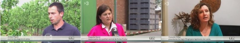 TV3: Els enginyers agrònoms, decisius per garantir el subministrament dels aliments enmig de la Covid