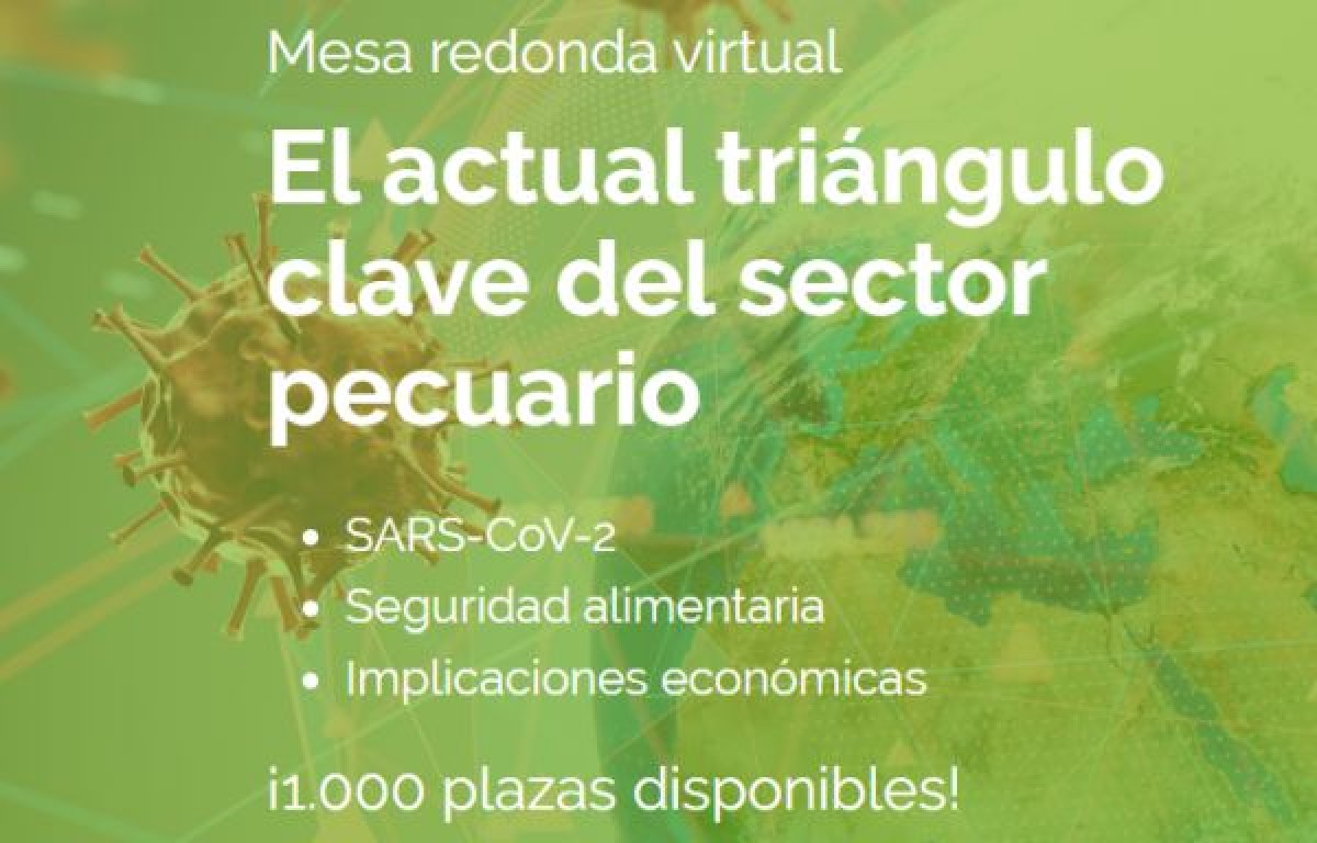 Mesa Redonda Virtual Ágora TOP GAN