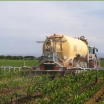 Jornada tècnica en línia | Nous manejos del blat de moro: fertilització orgànica de cobertora i sembra directa