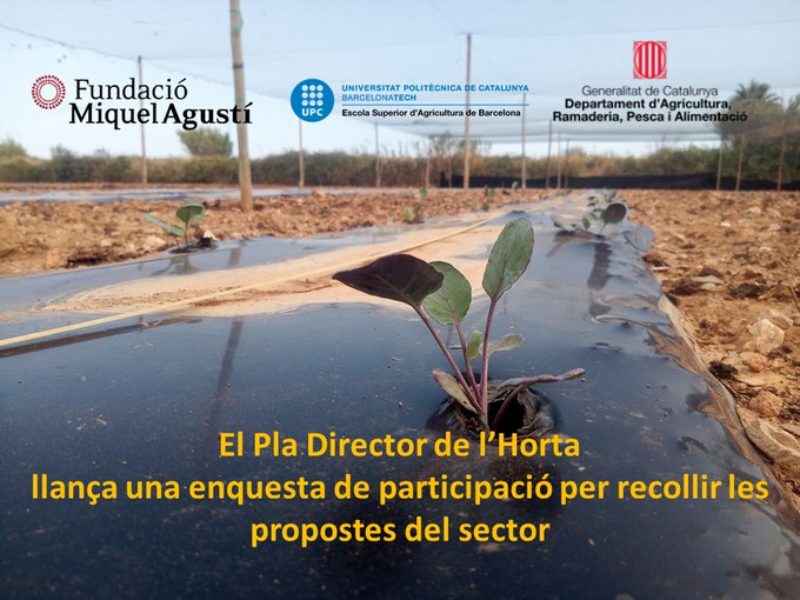 El Pla Director de l’Horta llança una enquesta de participació per recollir propostes del sector