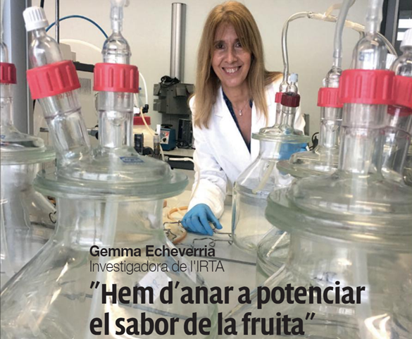 Entrevista a la companya Gemma Echeverria a la revista AFRUCAT: “cal identificar la fruita en funció del seu sabor”