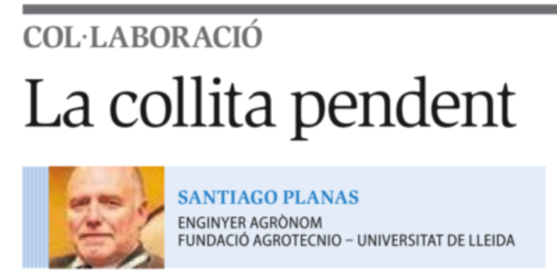 Publicat article  “La collita pendent” del company Santiago Planas al Diari Segre