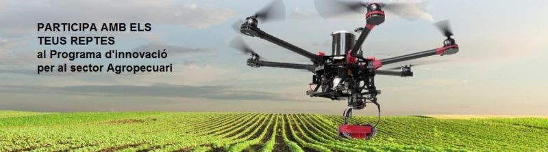 La IoT Catalan Alliance i la Catalonia Smart Drones inicien la recollida de reptes del sector agropecuari
