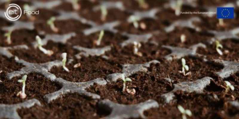 Programa EIT Food Seedbed Incubator: Convocatòria Oberta