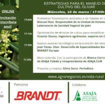 Webinar Vida Rural: Estrategias para el manejo del cultivo del olivar