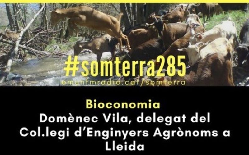 El delegat de Lleida Domènec Vila, parla sobre “Bioeconomia i reptes que tenim ara i al futur” al programa Som Terra