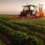 Jornada: “Brexit: Tot el que necessites saber sobre el sector agroalimentari”