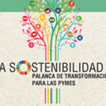 Jornada virtual: ‘La sostenibilitat, palanca de transformació per a les pimes’