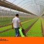 El sector agroalimentari: essencial per a l’economia