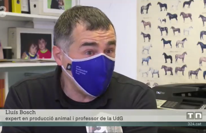 El company Lluís Bosch ens parla de macrogranges al Telenotícies de TV3