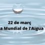 El Col·legi present als mitjans a través del company Ignasi Servià, en el marc del Dia Mundial de l’Aigua