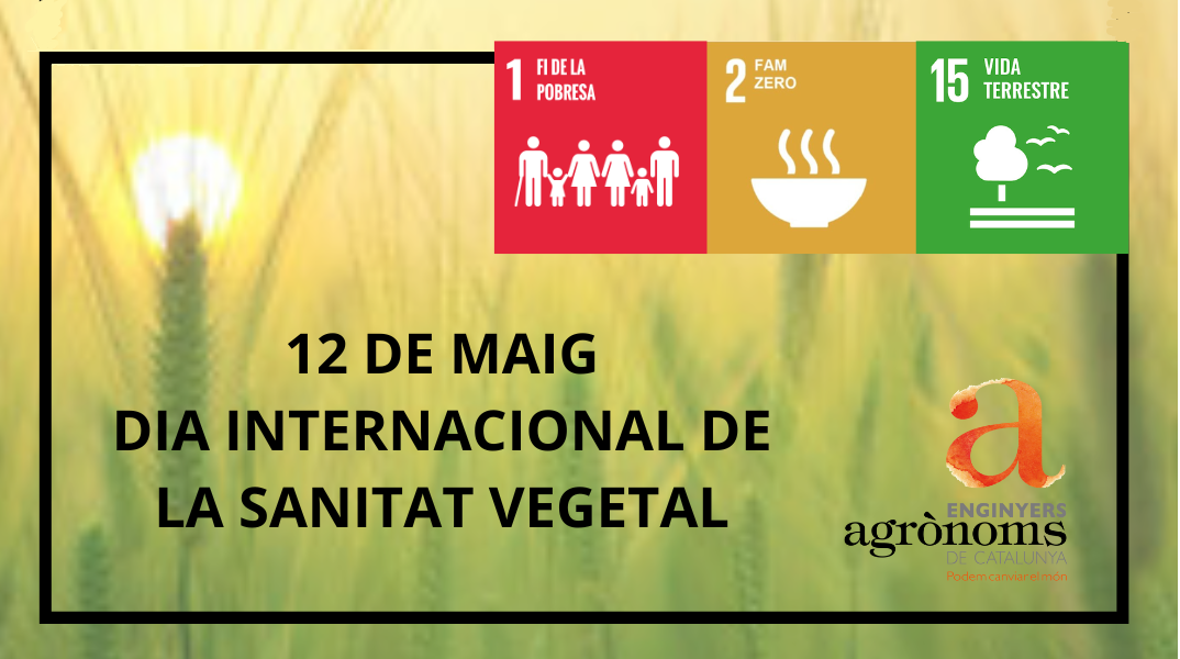 1a Celebració del Dia Internacional de la Sanitat Vegetal, el 12 de maig de 2022