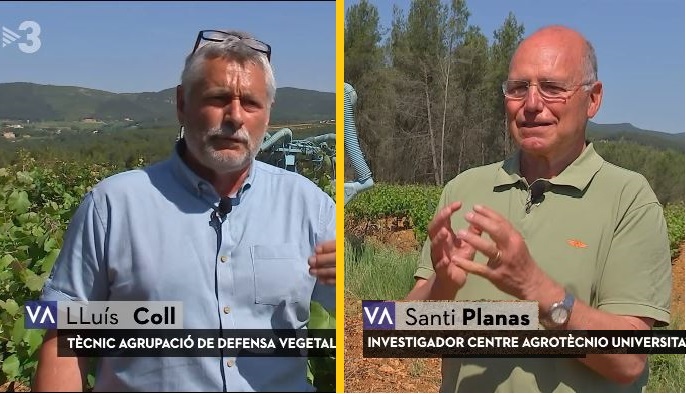 Els companys Lluís Coll i Santi Planas al programa Valor Afegit de TV3