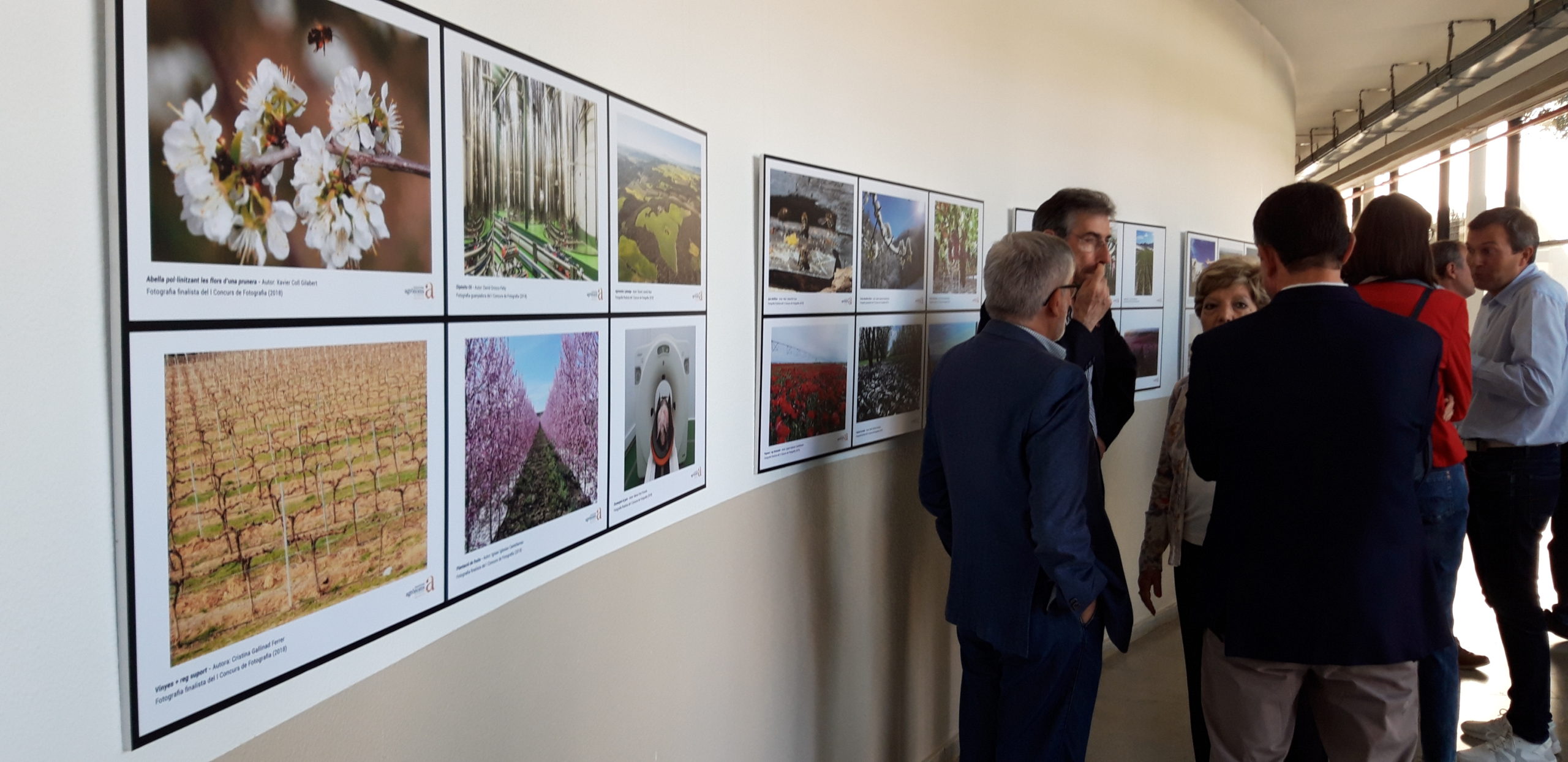 Inaugurada l’Exposició de Fotografies del Concurs de Fotos del COEAC, a l’ETSEA (Lleida)