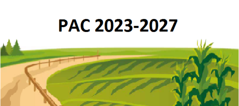 Política Agrícola Comuna (PAC) 2023-2027: Preguntes més freqüents i notes aclaridores
