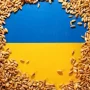 Després d’un any de Guerra a Ucraïna. Evolució i Impacte al Sistema Agroalimentari Europeu i Espanyol