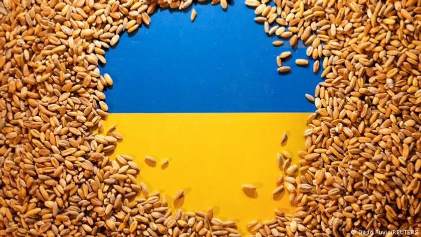 Després d'un any de Guerra a Ucraïna. Evolució i Impacte al Sistema Agroalimentari Europeu i Espanyol