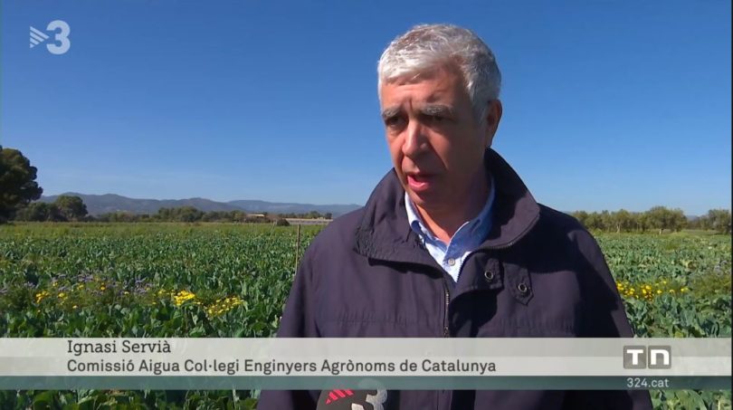 El company Ignasi Servià reivindica la importància de l’agricultura de regadiu al Telenotícies de TV3