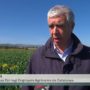 El company Ignasi Servià reivindica la importància de l’agricultura de regadiu al Telenotícies de TV3
