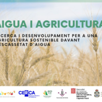 Jornada sobre Aigua i Agricultura: Recerca i desenvolupament per a una agricultura sostenible davant l’escassetat d’aigua