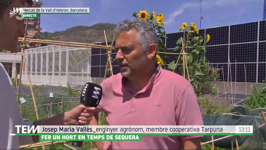 “Com cultivar un hort en temps de sequera?” – El company Josep Maria Vallès al programa Tot es Mou de TV3