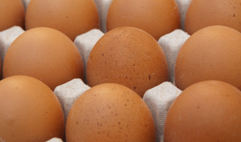 Publicació de nous Reglaments sobre comercialització dels ous