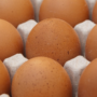 Publicació de nous Reglaments sobre comercialització dels ous