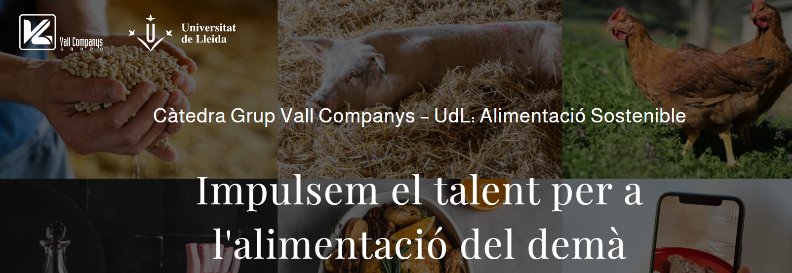 Premis Càtedra Vall Companys – Universitat de Lleida TFM